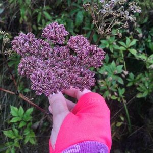 Meet your Posher, Deborah